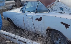 1968 年道奇 Charger R/T 在坚硬的白色油漆下隐藏着理想的颜色