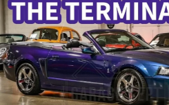 想谈谈这辆待售的 2004 款 Ford Mustang SVT Cobra 吗