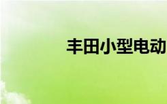 丰田小型电动 ute 概念揭晓