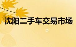沈阳二手车交易市场：繁荣的汽车交易枢纽