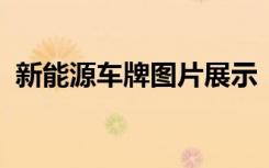 新能源车牌图片展示：未来出行的绿色选择