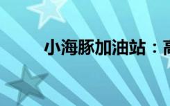 小海豚加油站：高效能源的守护者