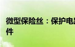 微型保险丝：保护电路安全的微小而强大的元件