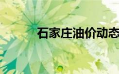 石家庄油价动态分析与趋势预测