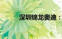 深圳锦龙奥迪：豪华汽车的典范